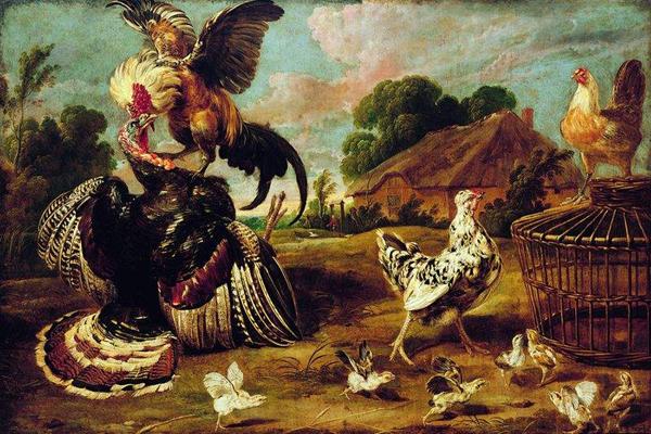 Paul de Vos The fight between a turkey and a rooster China oil painting art